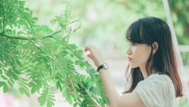 abraham quiros villalba wikipedia