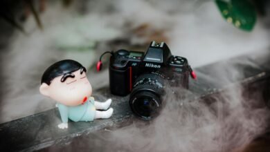 animation fun facts unveiled