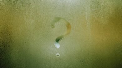 meaning of eol explained