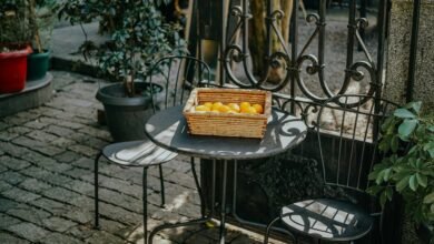 moti oswa bus terminal