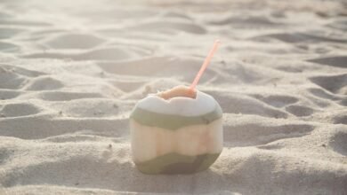 samsara island s popularity explained