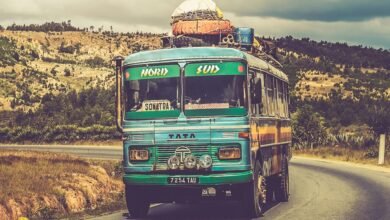 tata india pharmaceutical product