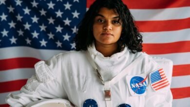 vidnoz ai technology exploration