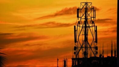 telecommunication integrity oversight division
